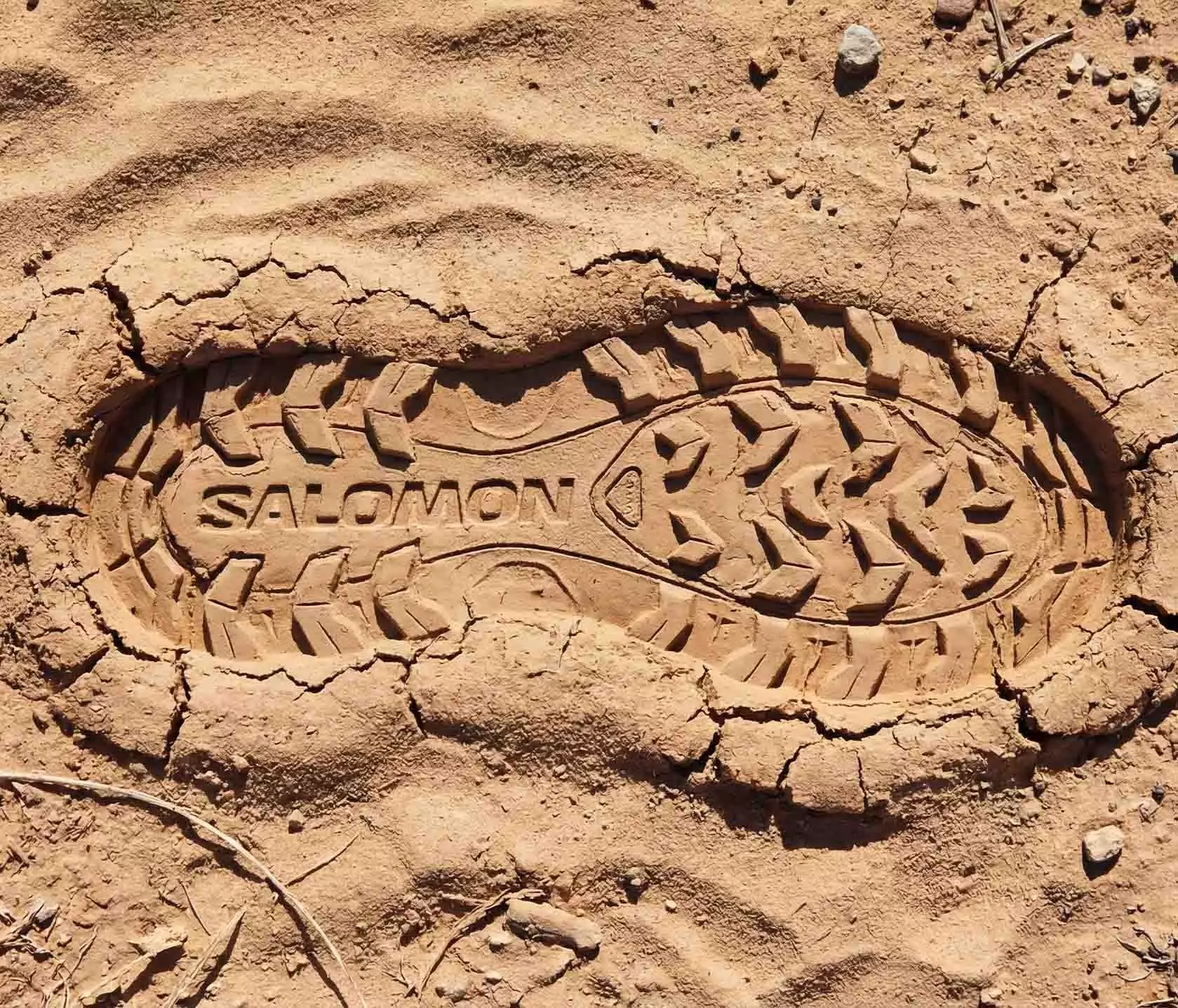 Brand Dive: